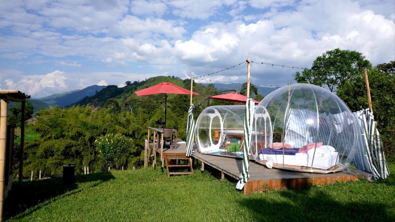 Glamping Del Cafe Hotel Santa Rosa De Cabal Kamer foto